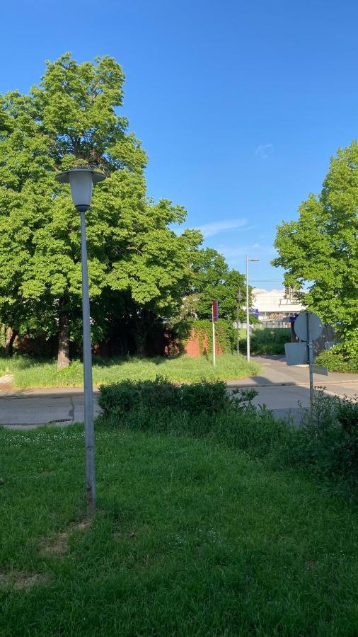 Ferienwohnung -Isola Madre Biebesheim am Rhein Ngoại thất bức ảnh